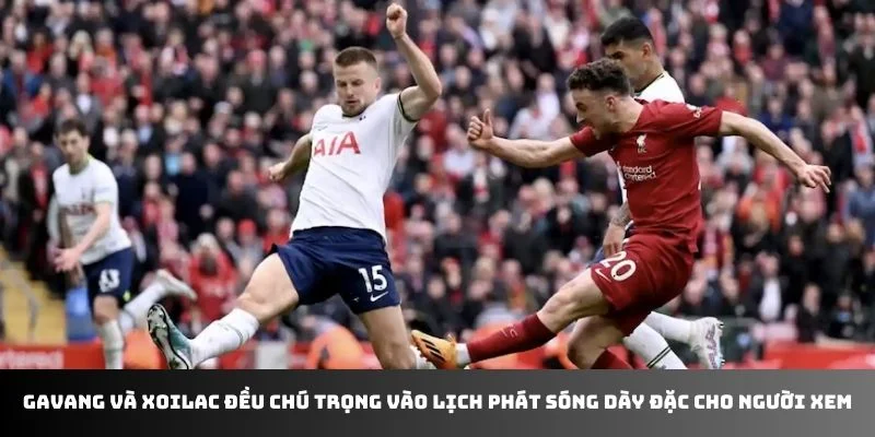 Gavang và Xoilac đều chú trọng vào lịch phát sóng dày đặc cho người xem