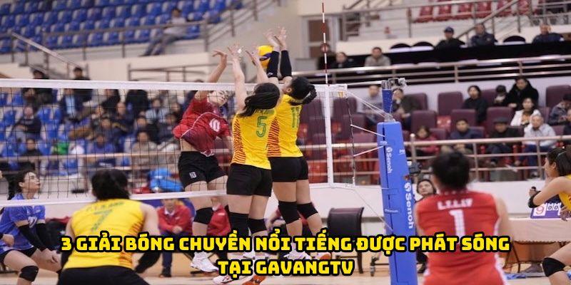 3 giải bóng chuyền nổi tiếng được phát sóng tại GavangTV