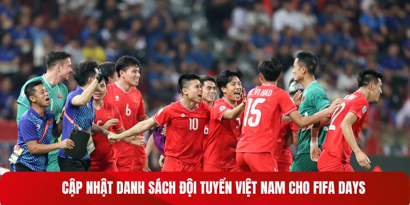 Cập nhật danh sách đội tuyển Việt Nam cho FIFA Days