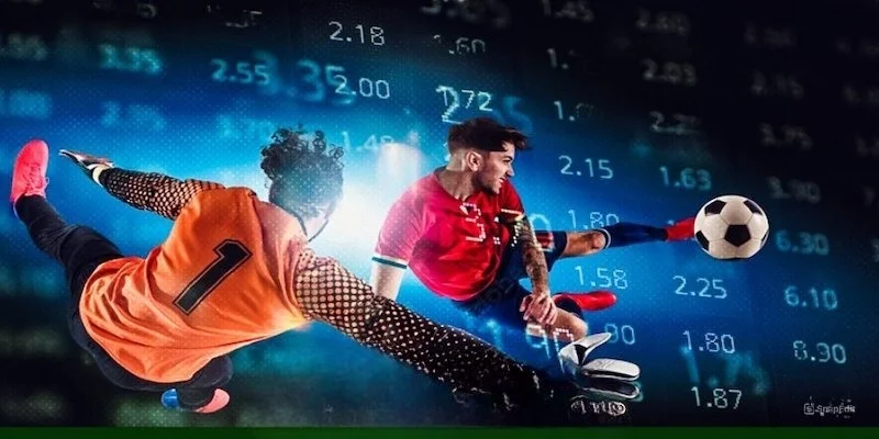 Giới thiệu khái lược về web Bunchatv