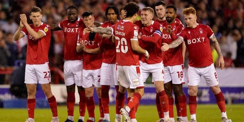 Khám phá toàn diện Nottingham Forest để nắm rõ quá trình phát triển