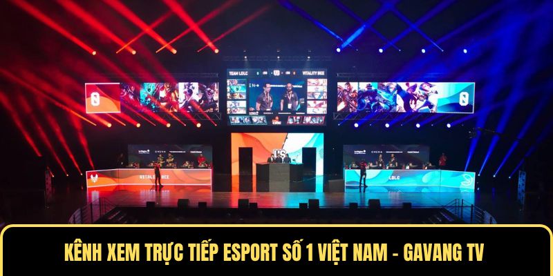 Kênh xem Esport số 1 Việt Nam